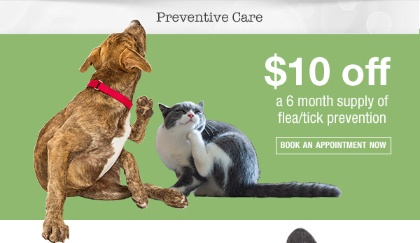 $10 off a 6 month supply of flea/tick prevention