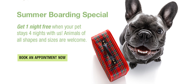 Summer boarding special. One free night when your pet stays 4 nights.