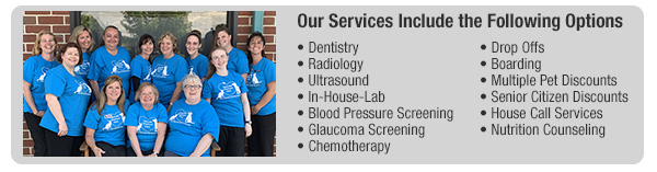 Our services